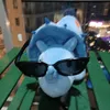 mr_poodlesworth