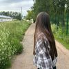 dinwisx