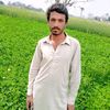 imran.786704