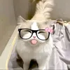 ashleymae_56