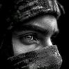 zabihullah2467