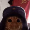 iz_atriaaa