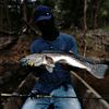 fhising_borneo