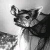 dolytta