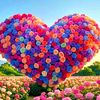 rana.nadeem0252