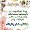 muhmad.mustafa84