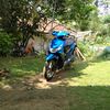 kelpin3468