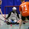 f_ballgoalie1