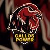 GallosPower_Oficial