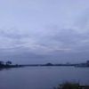 najmul.hasan.roki