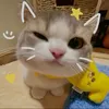 wang_0036