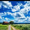s.k.noman_55