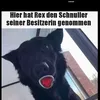 hundesinds