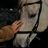 b__re5