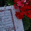 w_alnarjis