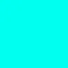timbradfordswife7