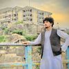 user33861970021120