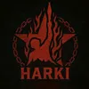 raman.dri6