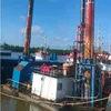 bunglon.jawa