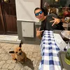 rafacarmelo