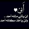 hossam.elzahr