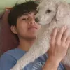 tiag_.o
