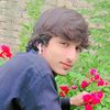wahid.jan774