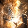 randa.ahmed36