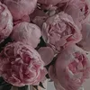 l_prvt03