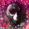 tizzy3733