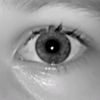 doxy_damelio