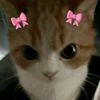juliana11_212
