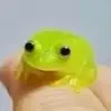 The frog guy