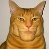 kertfushigoro