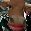 kocotien006