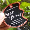 coklat_gun.cs