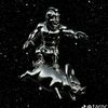 monkey_09990