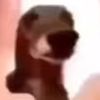 ifuckinghatetiktok11
