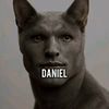 ysk_dan