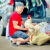 trai_ga_hong_phat_68
