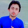 ayesha.gul4342
