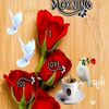 user149406901