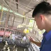 hiu.nguyn.vn204