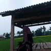 wika_anjayy