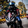 belalang_tua96