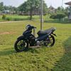 ikan_mati2