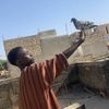 Omar Mbathie