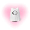 lopp_pinkkk