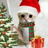 jordan.babatid
