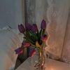 user9597051254346